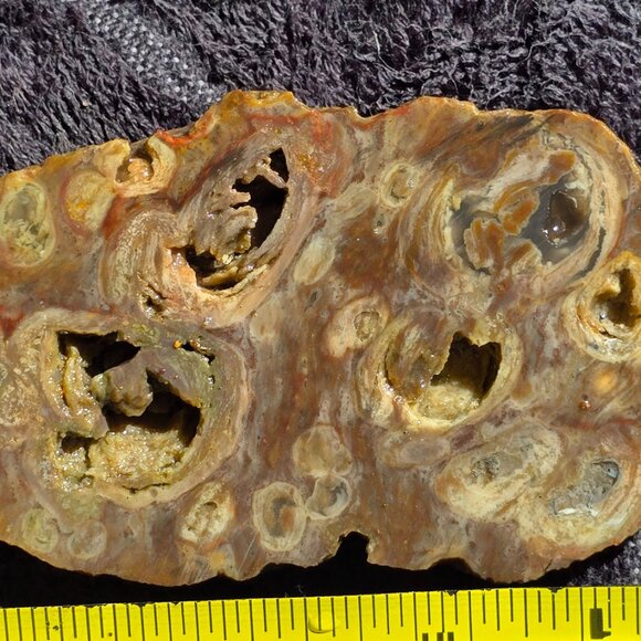Small cutting of Orbicular Rhyolite - Picture 2 of 10